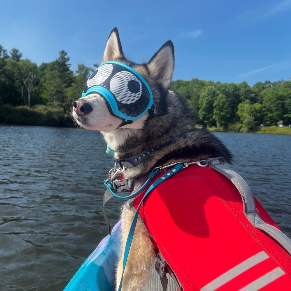 Meet your Posher, Mercedes